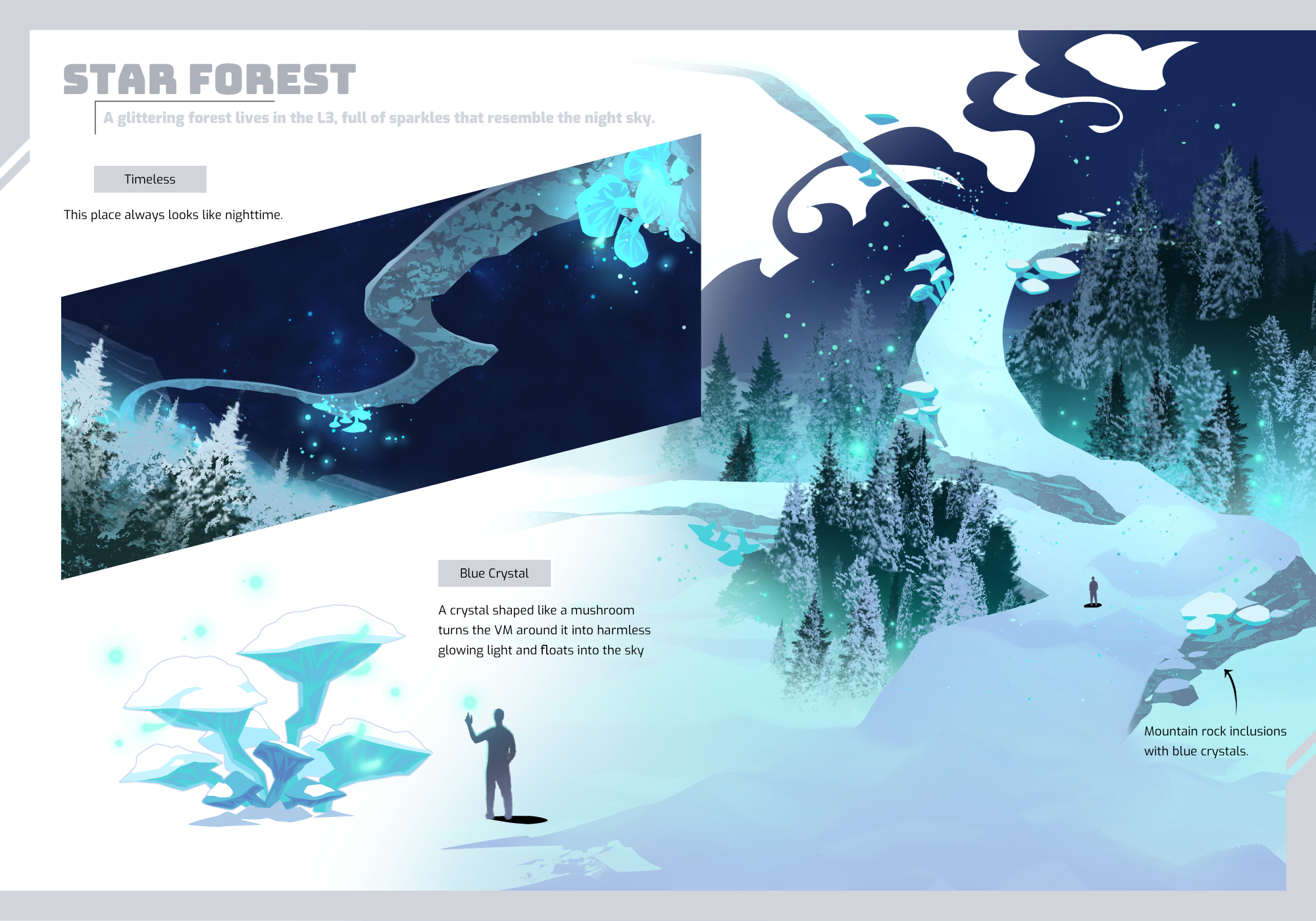 Star Forest