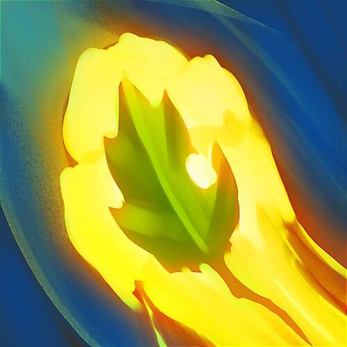 Patience's Blow Leaf